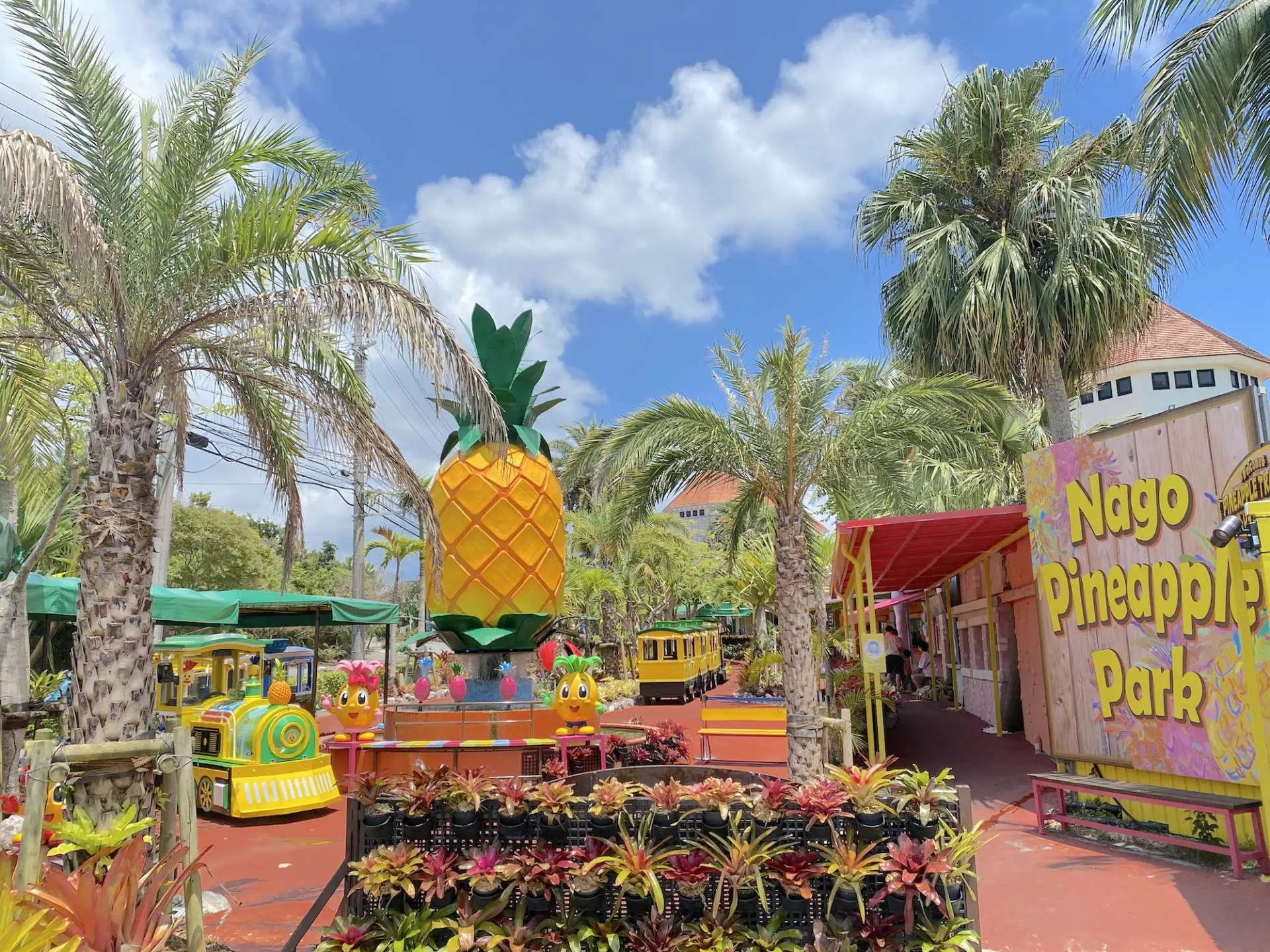 nago pineapple park