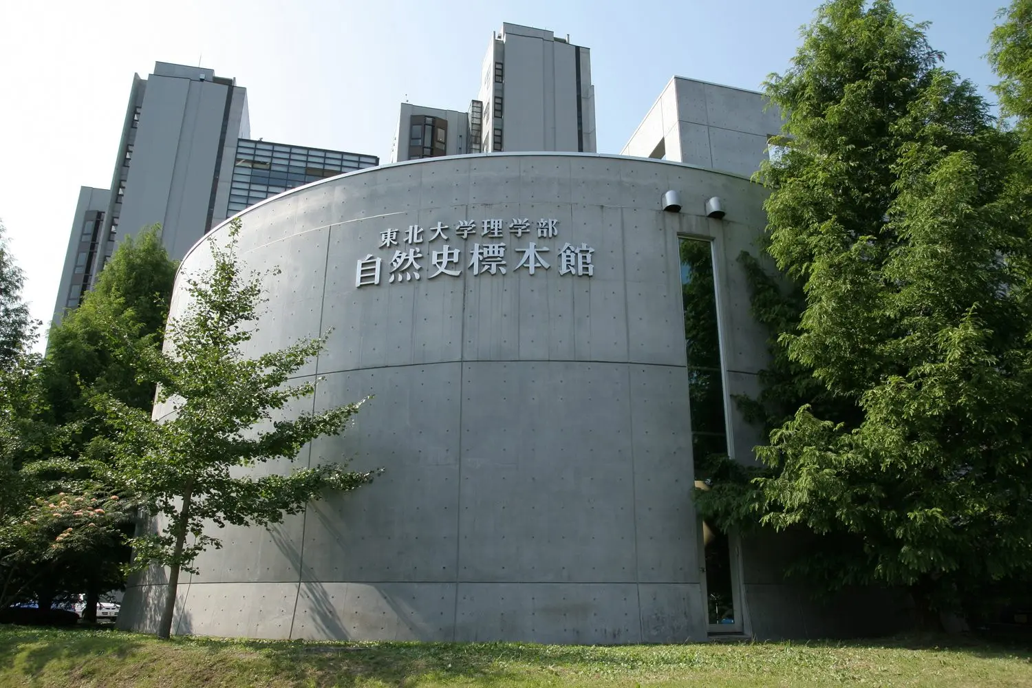 東北 大学 総合 学術 博物館