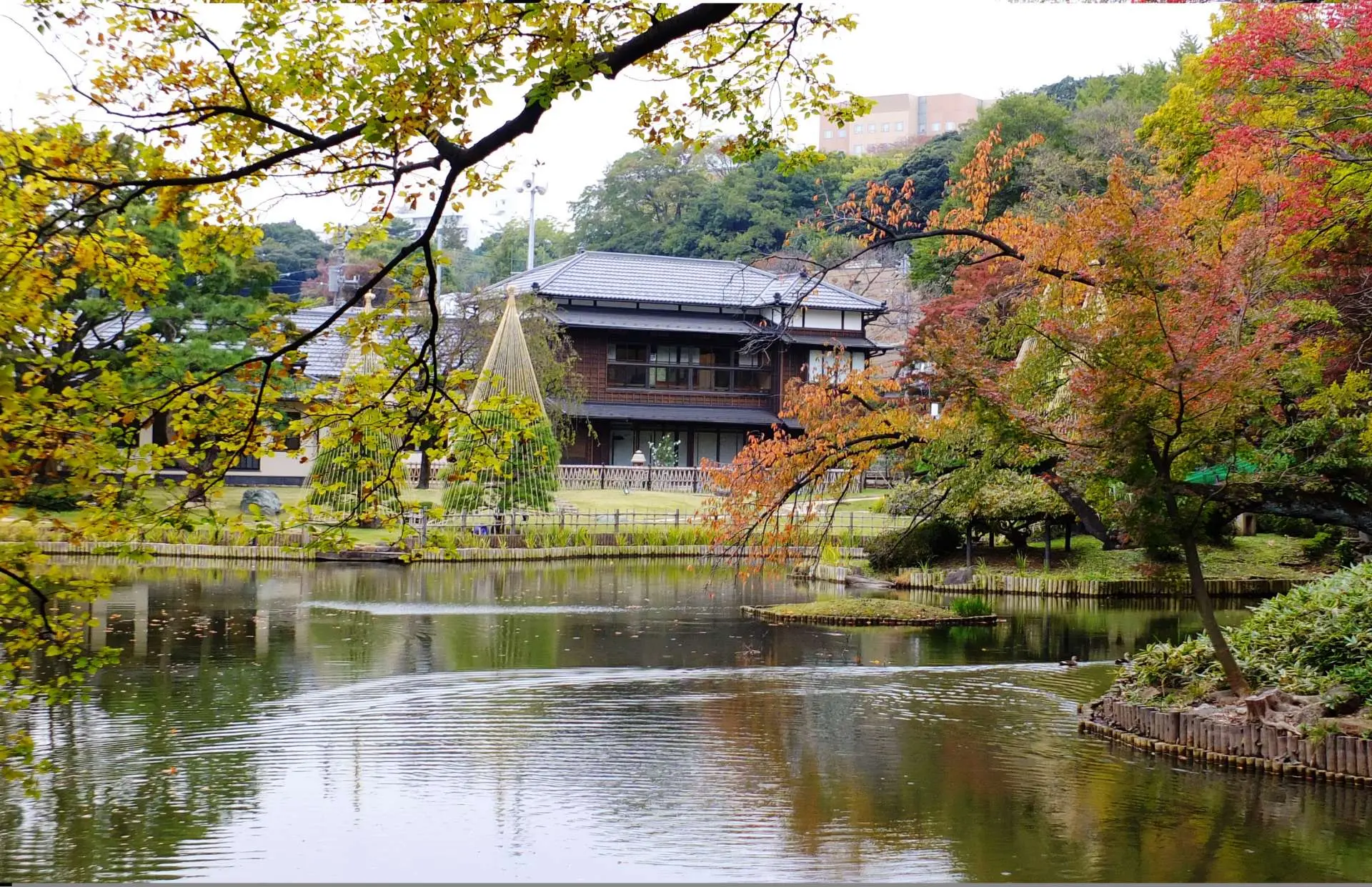 肥後 細川 庭園