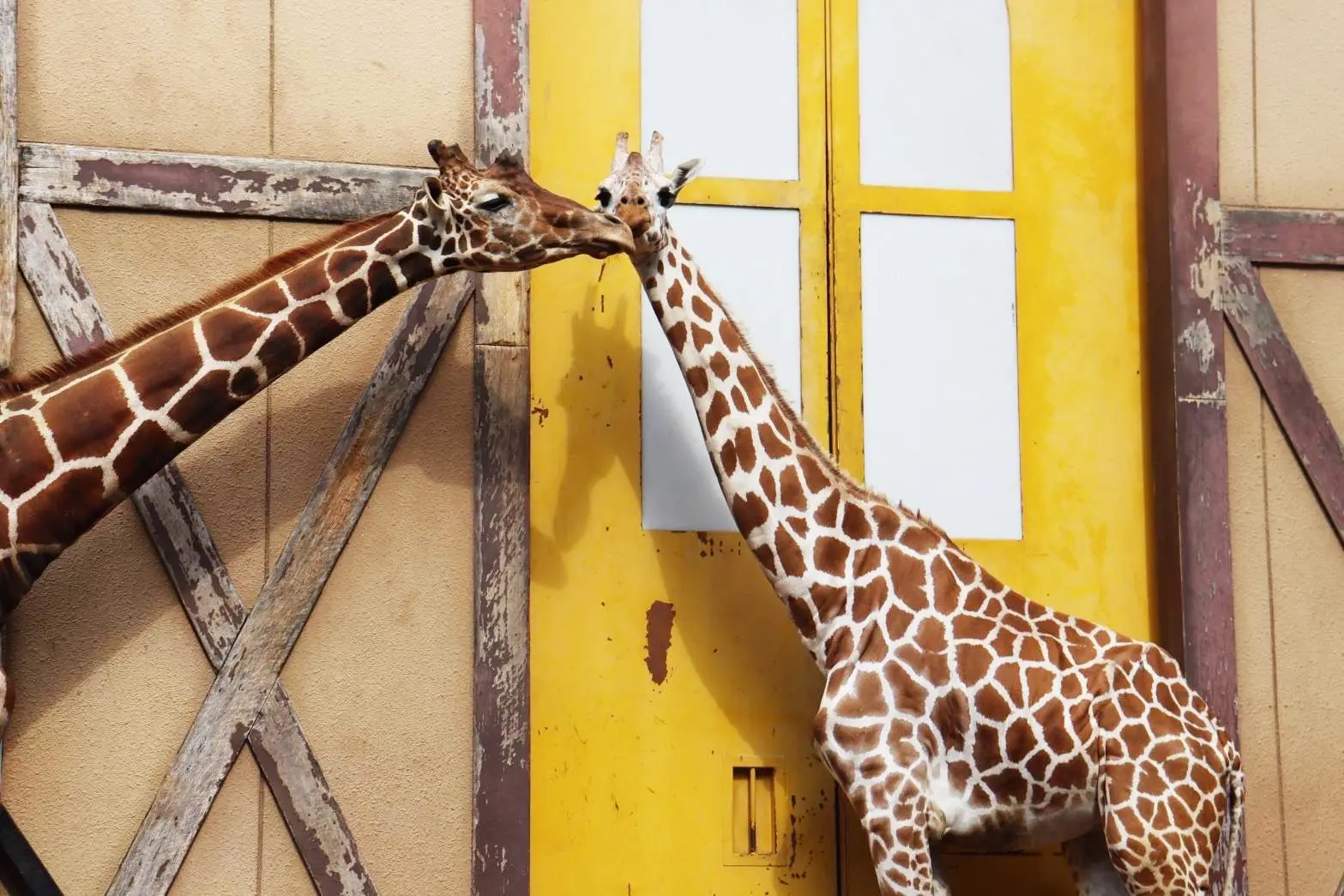 zoo ヒノトントンZOO (羽村市動物公園) - 見どころ、アクセス & 周辺情報 | GOOD LUCK TRIP