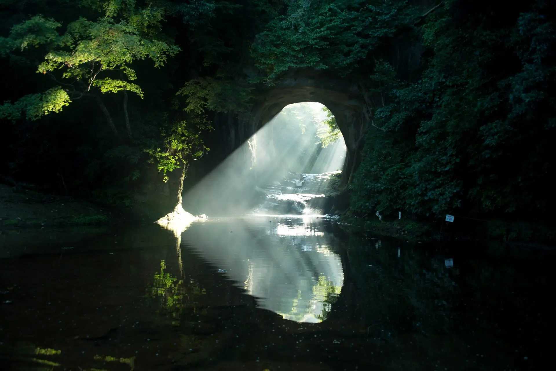清水渓流広場 （濃溝の滝・亀岩の洞窟） - 見どころ、アクセス、口コミ