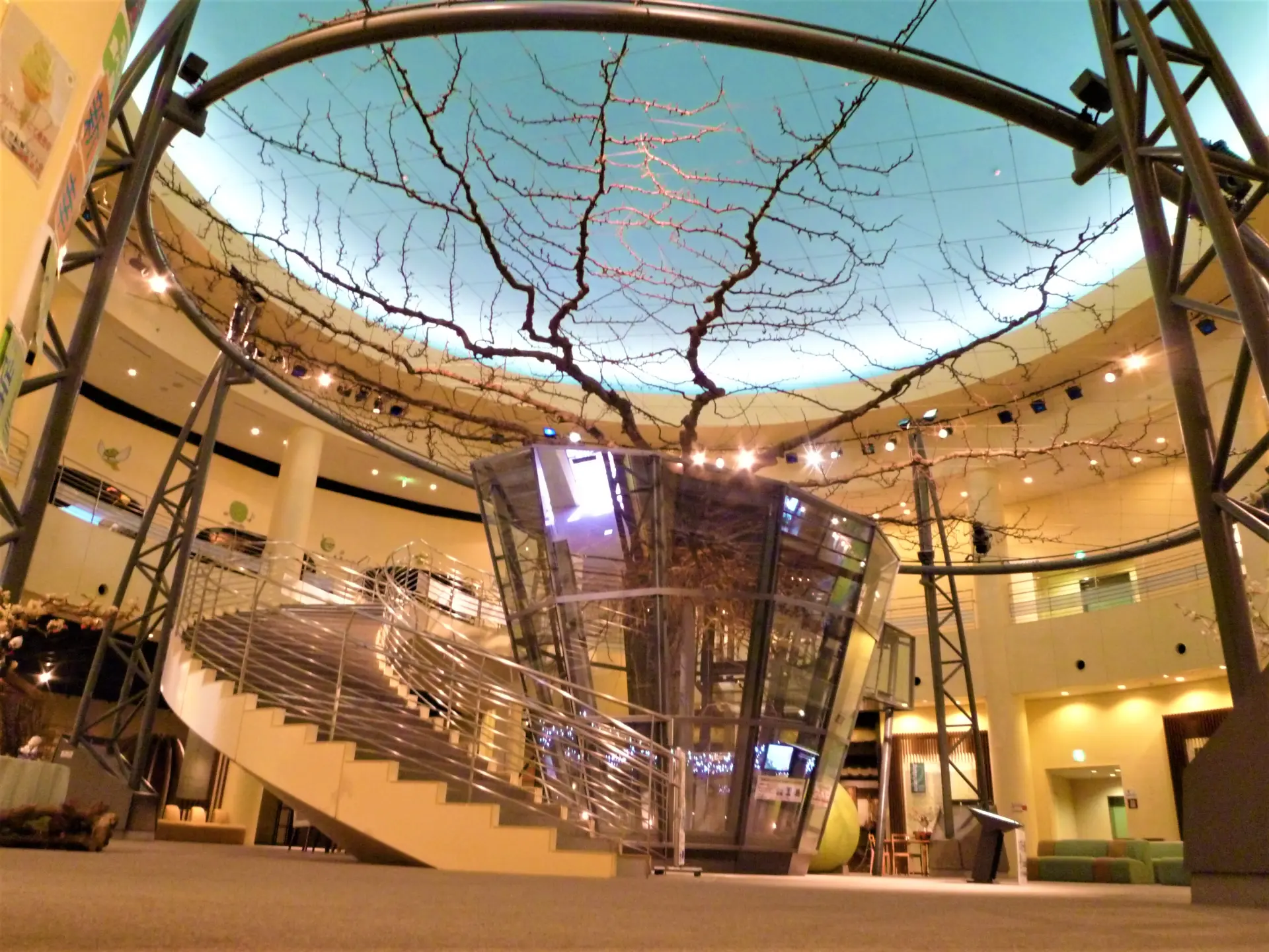 エースパック なしっこ館 （鳥取二十世紀梨記念館） - 見どころ