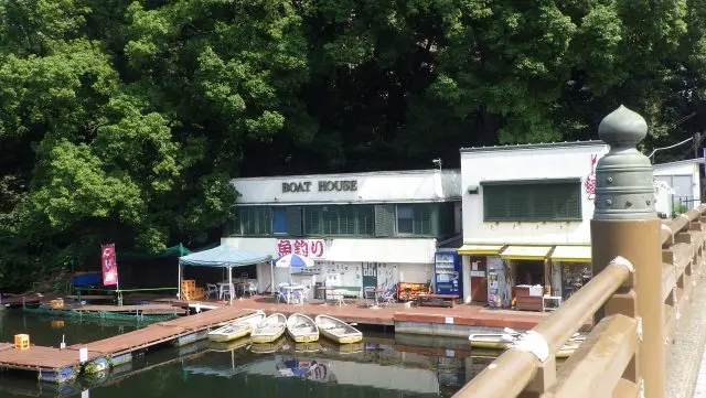 Benkei Fishing Club Must See Access Hours Price GOOD LUCK TRIP