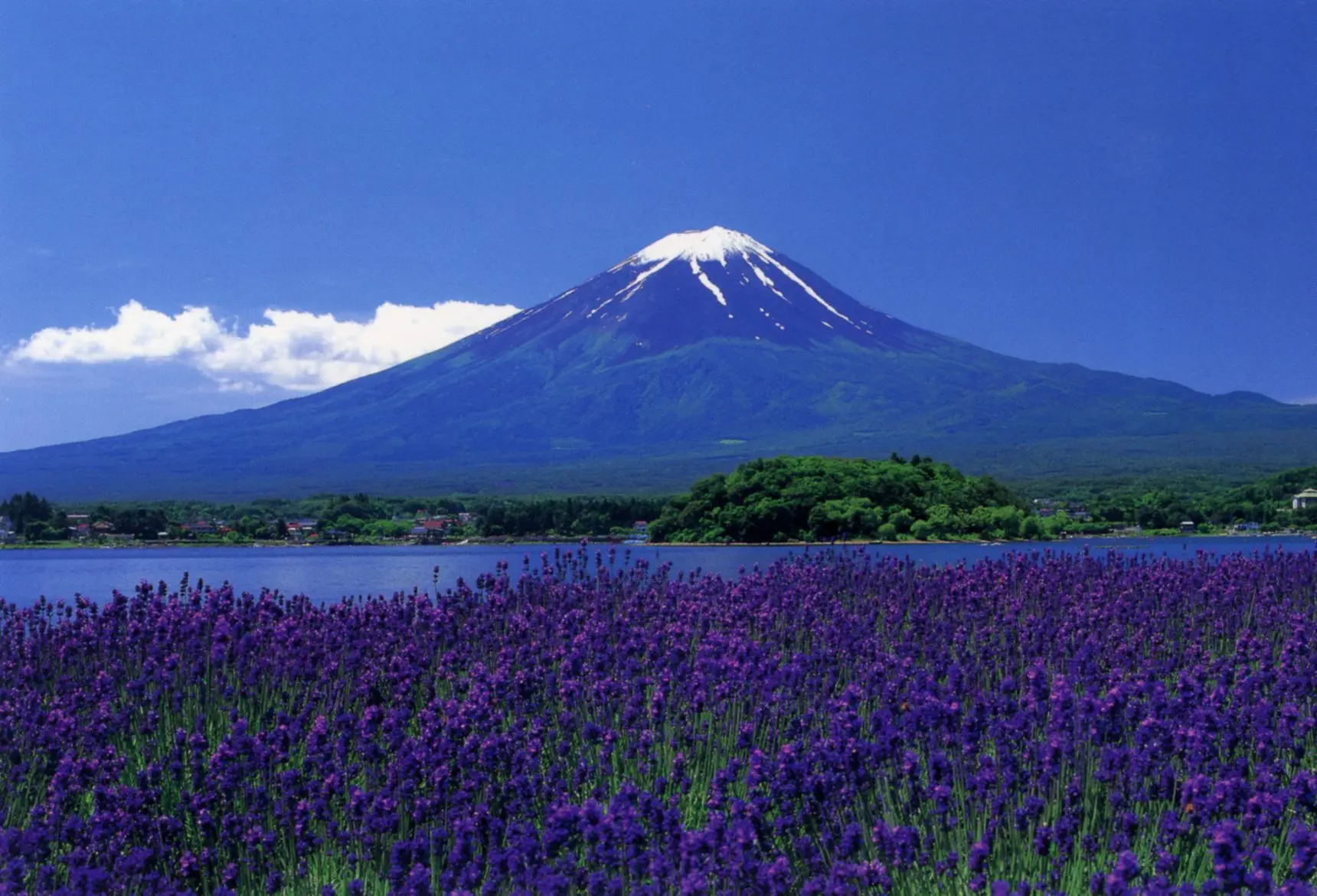 富士山　河口湖町　大石公園　「雲間の富士山」 河口湖・大石公園の富士山写真スポット、行き方・駐車場 - まつ
