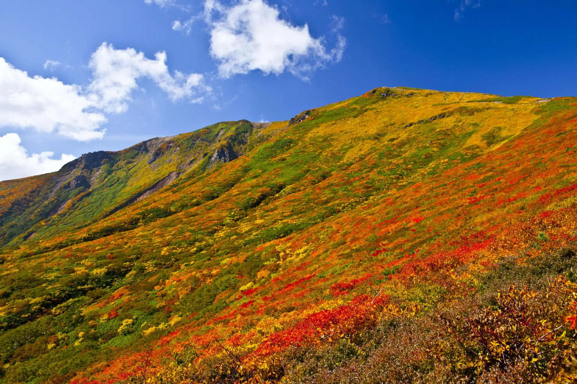 栗山奉行　心の健康 3分で1個心のブロック解除🍀栗山葉湖（くりやまようこ
