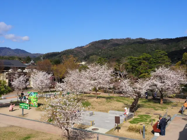 春はお花見スポットとしても人気
