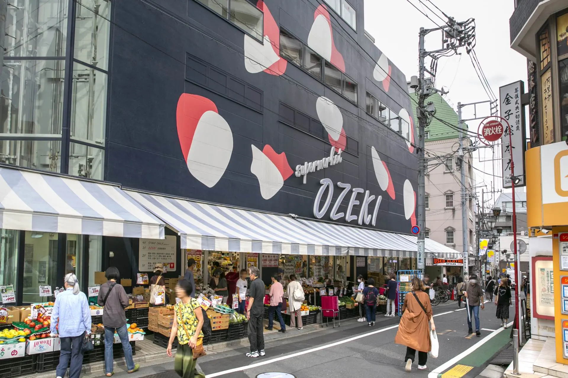 活動歴および当時の関連ビジュアル記録