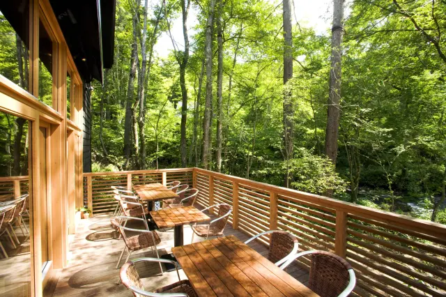 川上庵 せきれい橋店