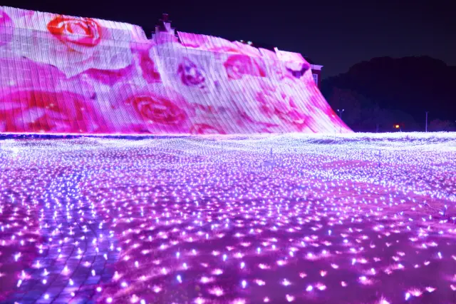 สวนออโรราแห่งแสง (©เฮาส์เทนบอช/P260036)