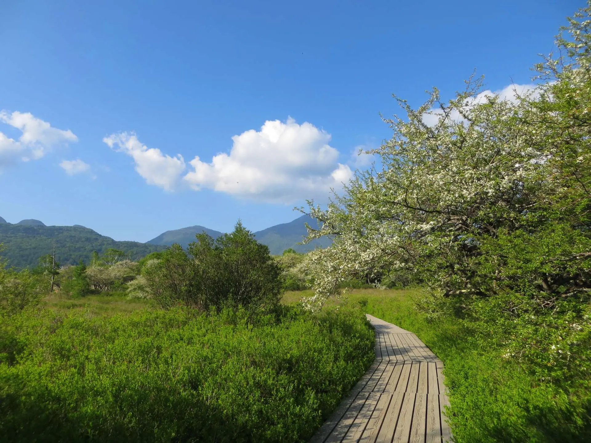 Senjogahara Marshland - Must-See, Access, Hours & Price