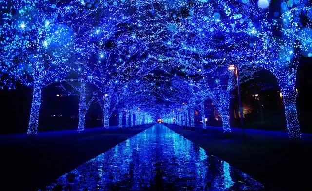 Shibuya Blue Cave Illumination