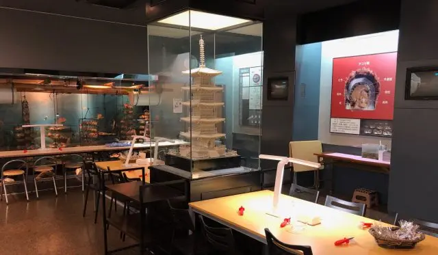 併設の資料館で学び、アコヤ真珠の取り出し体験を楽しもう