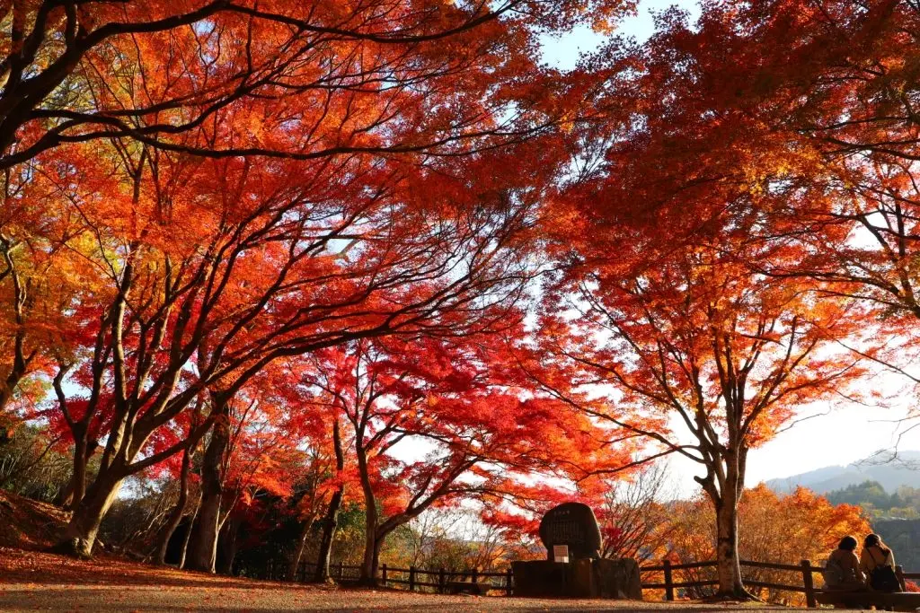 尾関山公園