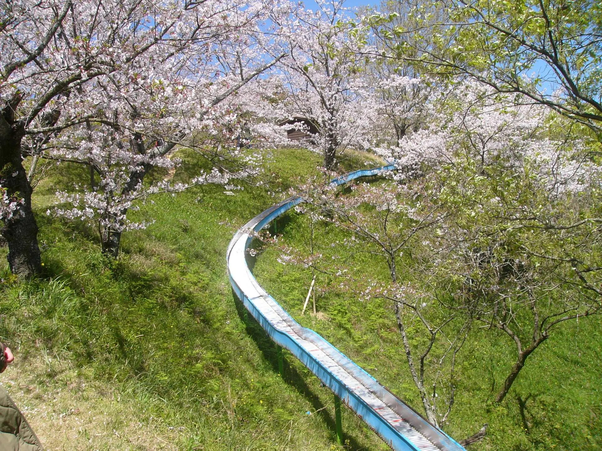 当時のメディア報道・掲載写真