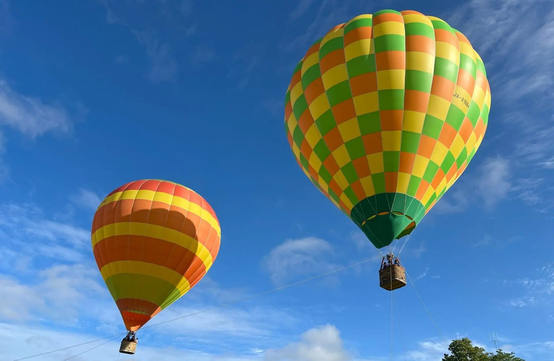 OAC Niseko Balloon - 見どころ、アクセス、口コミ & 周辺情報 | GOOD