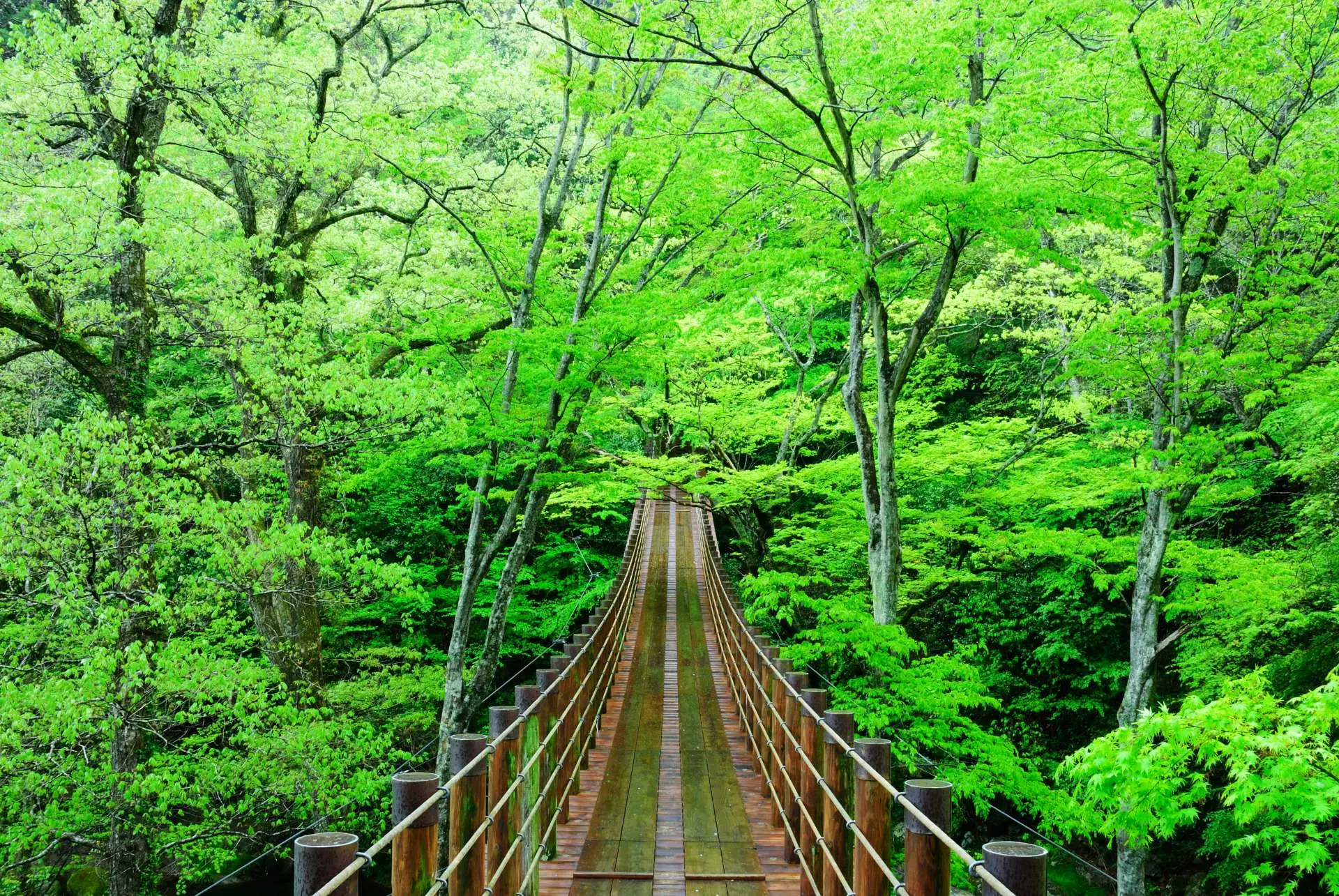 超高線量!!花貫渓谷ペグマタイト(32)