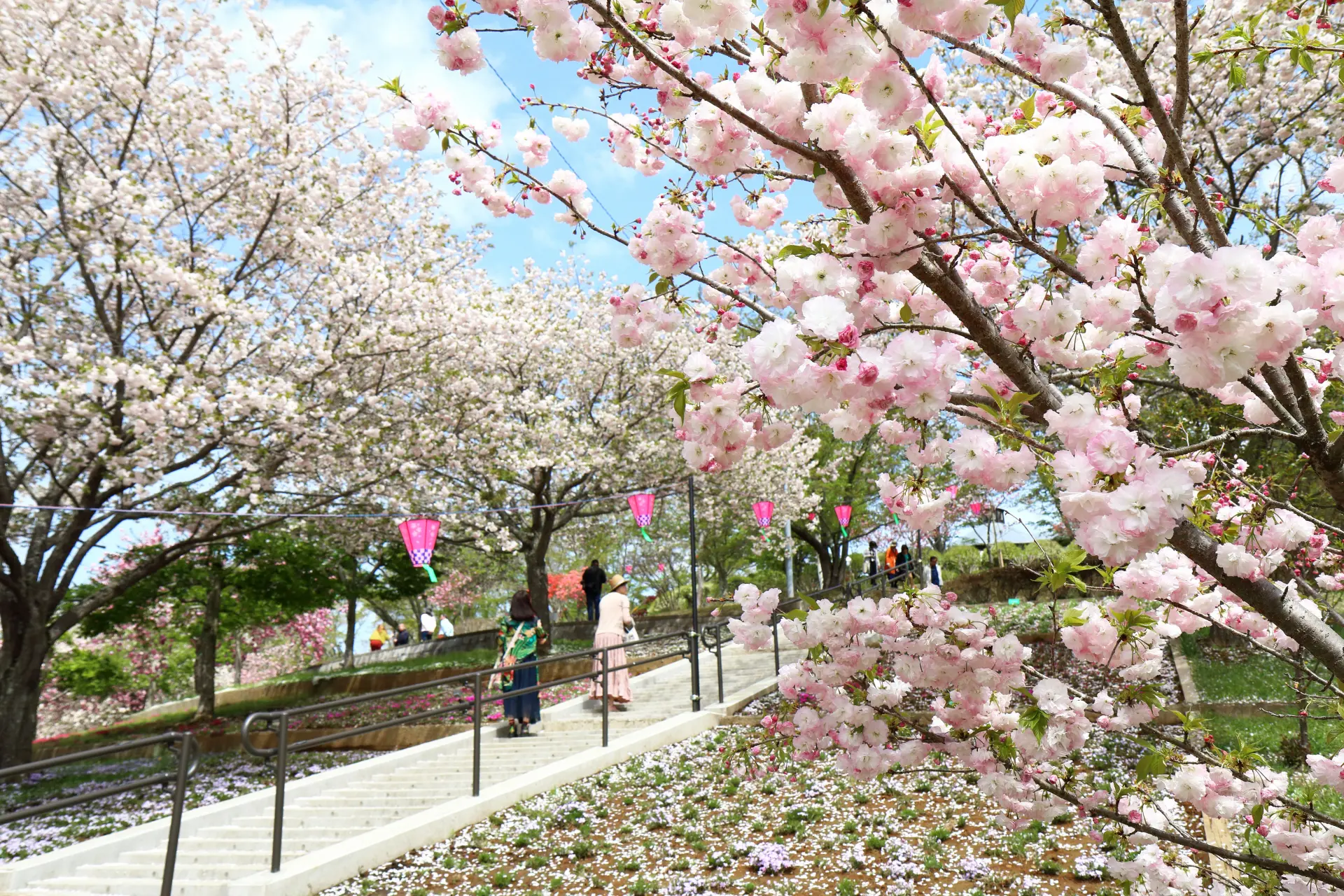 静峰ふるさと公園 - 見どころ、アクセス、口コミ & 周辺情報 | GOOD
