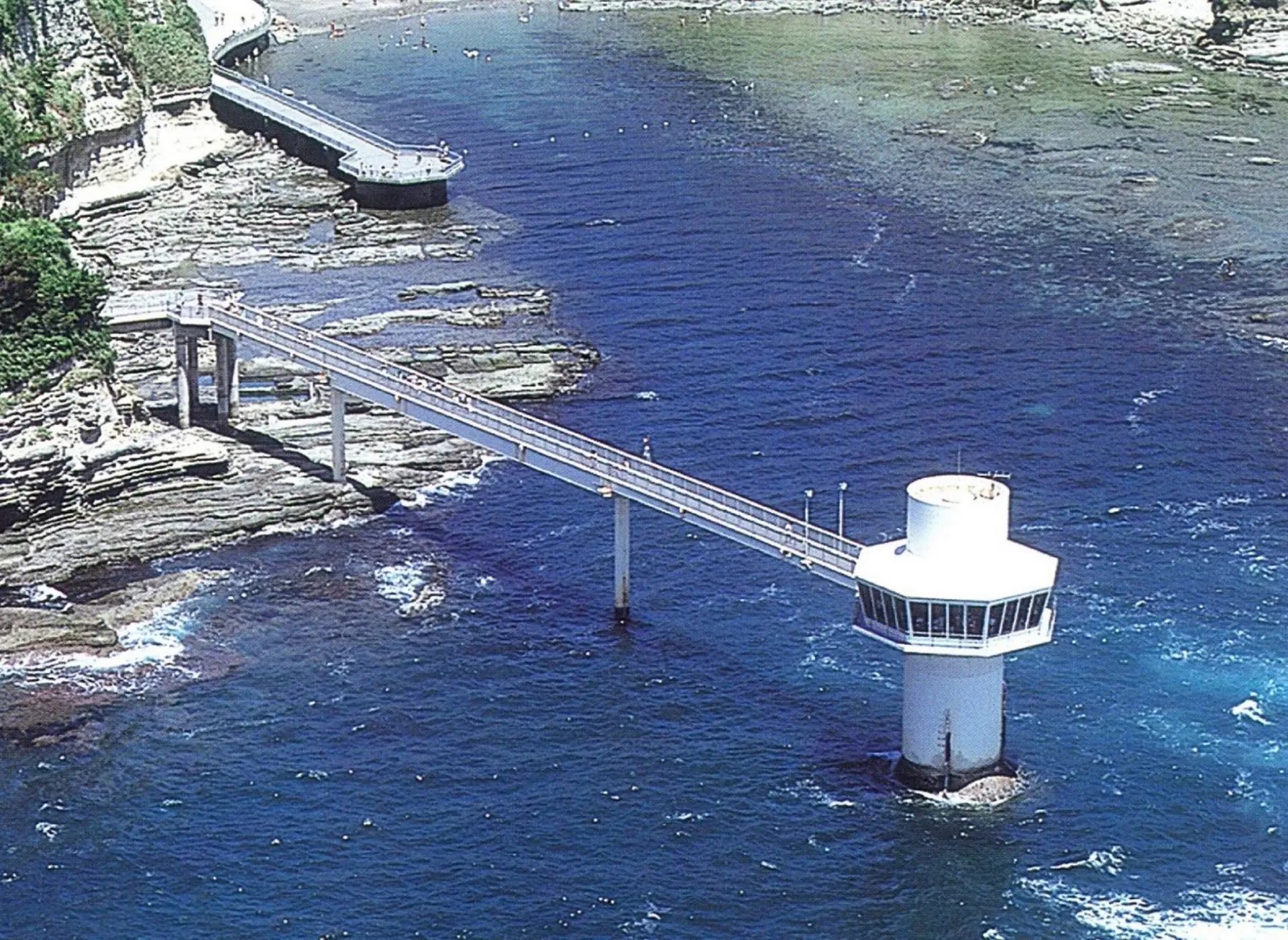 かつ うら 海中 公園 海中 展望 塔