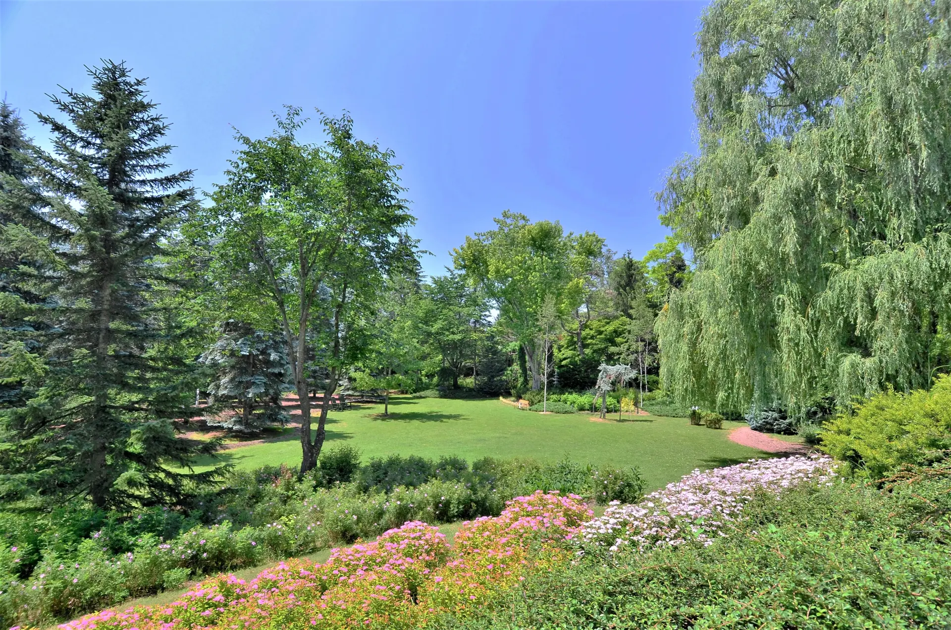 廃盤 伊勢正三 LIVE GARDEN FINAL＋KEY OF GARDEN LIVE GARDEN FINAL | 伊勢正三｜ISE SHOZO OFFICIAL SITE