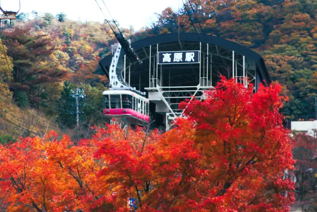 秋は空の上から紅葉を楽しもう
