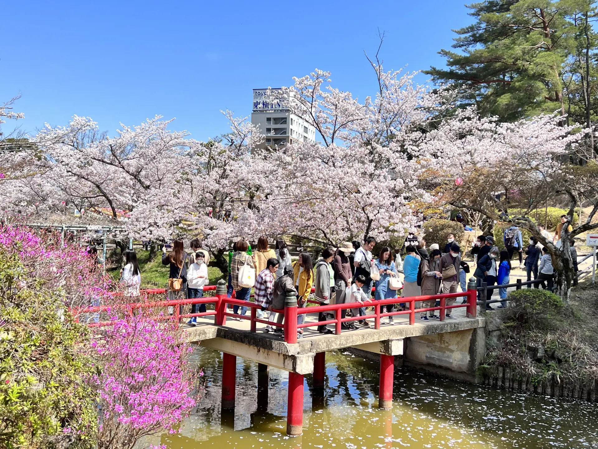 Tsukaen Park - Must-See, Access, Hours & Price | GOOD LUCK TRIP