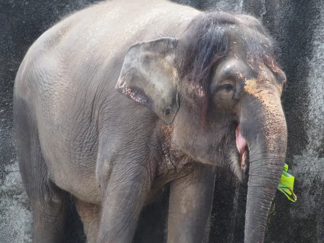 福山市立動物園