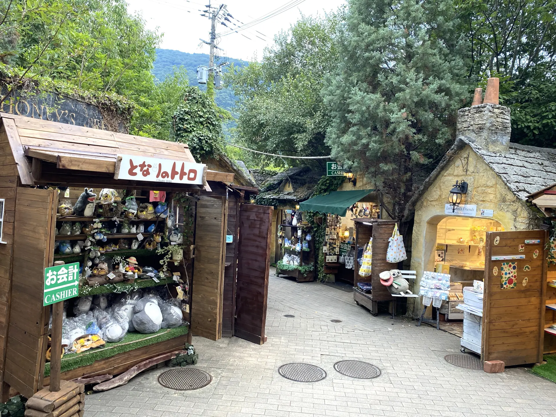 湯布院 花卉 村
