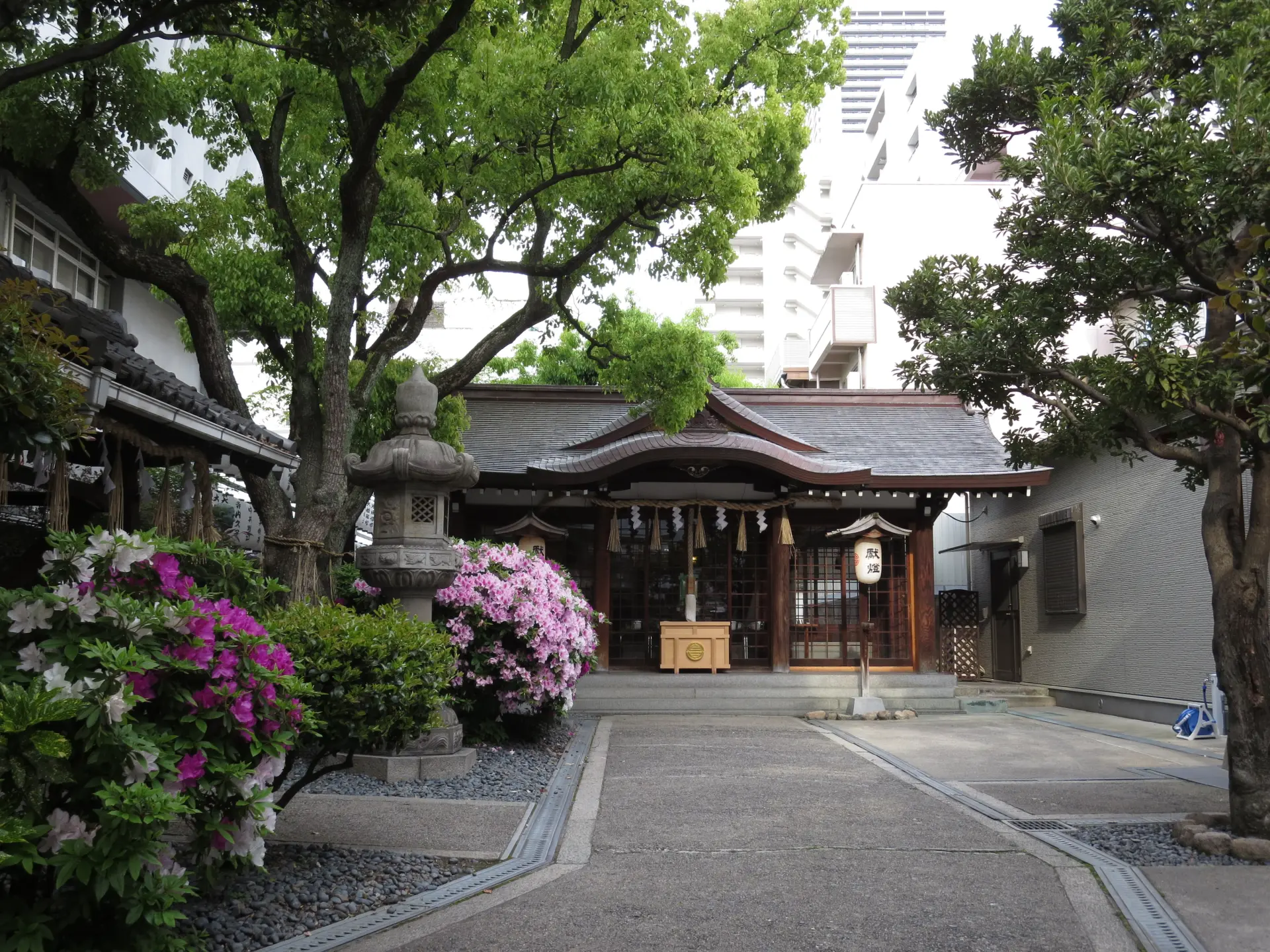 サムハラ神社 - 見どころ、アクセス、口コミ & 周辺情報 | GOOD LUCK TRIP