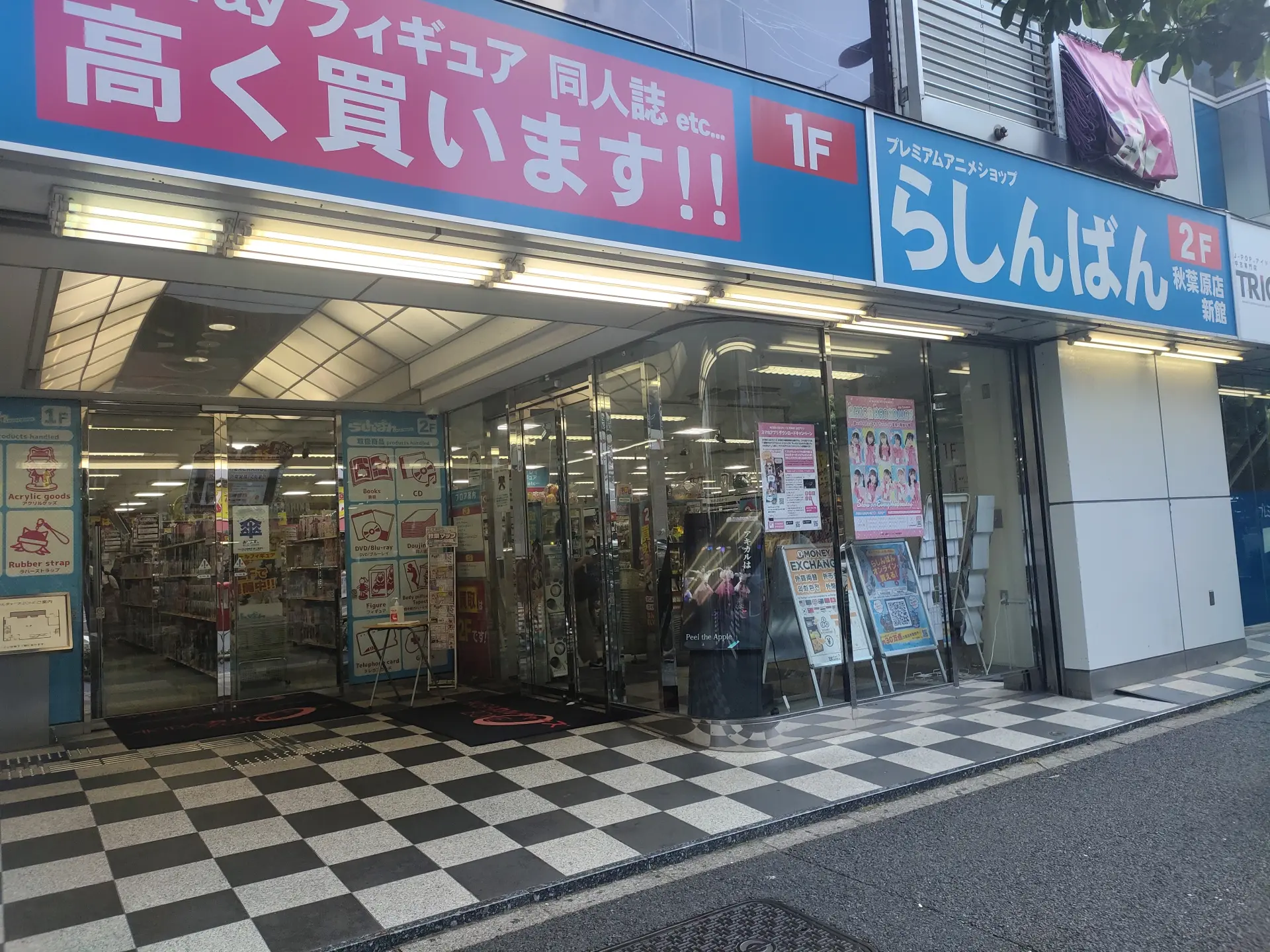 活動歴および当時の関連ビジュアル記録