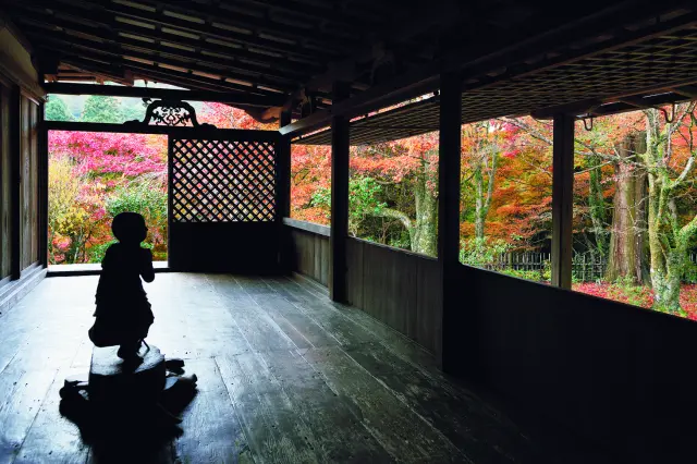 栂尾山 高山寺