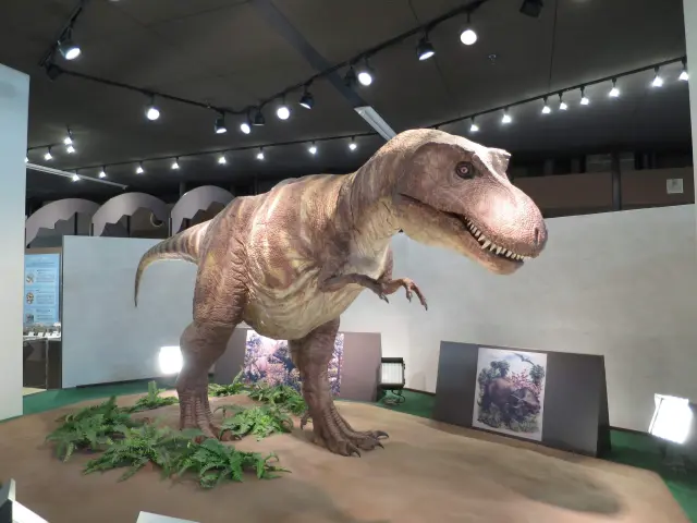 展示場には、しゃべるティラノサウルスや恐竜の骨格模型がある