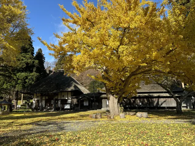 有珠善光寺