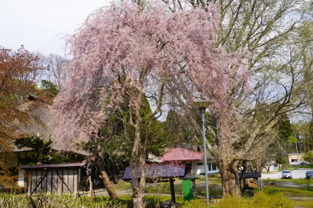 境内および周辺は「善光寺自然公園」になっている