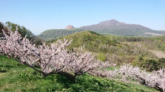 洞爺湖周辺の豊かな自然を肌で感じる圧巻の景色