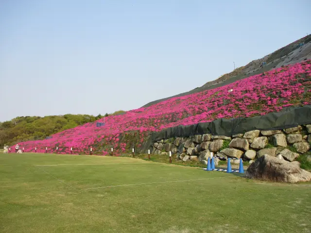 ピクニックができる芝生広場