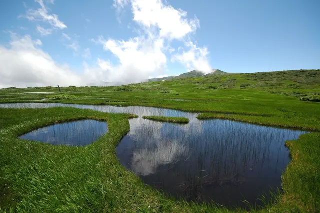 8合目広がる月山弥陀ヶ原湿原
