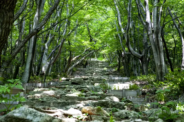 木々が生い茂る参道を進んで五社堂へ