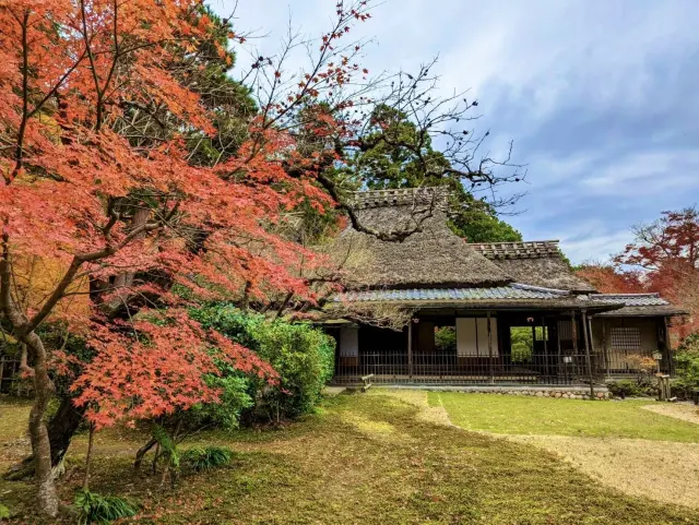 茶室の立つ苔の庭