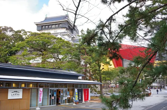 小倉城しろテラスなど北九州市の土産店などで購入可能