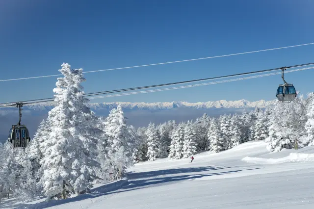 志賀高原 焼額山スキー場