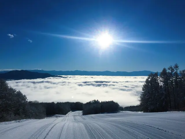 妙高 杉ノ原スキー場