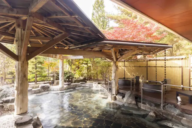 花巻温泉 ホテル紅葉館