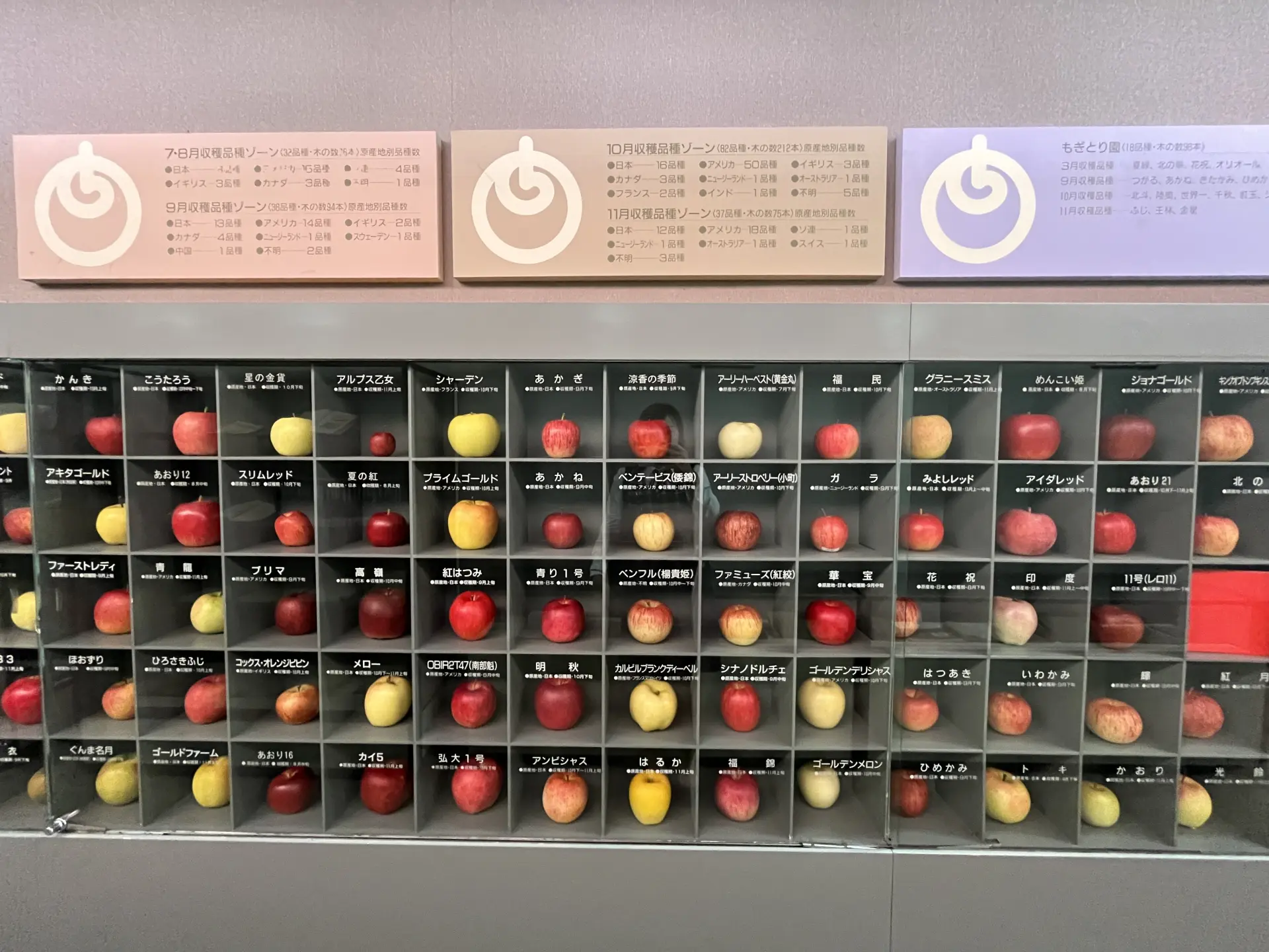 板柳町ふるさとセンター