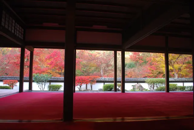 紅葉の名所としても有名。福寿院客殿から望む景色はまるで絵画のよう