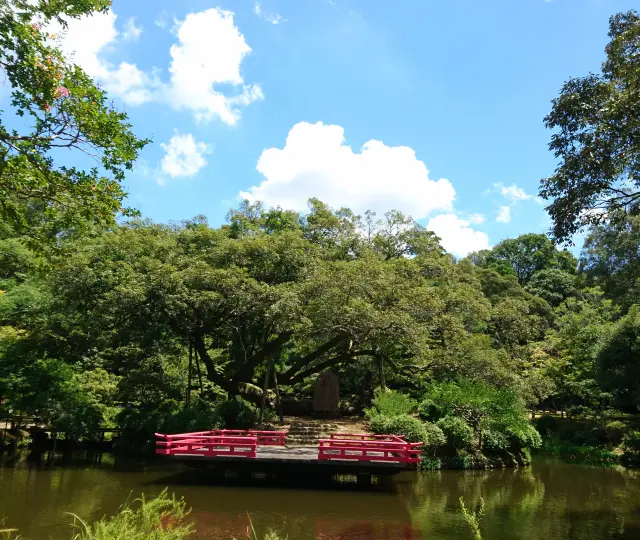 春日大社 萬葉植物園