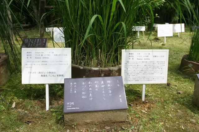 詩とともに実際の植物を鑑賞できる