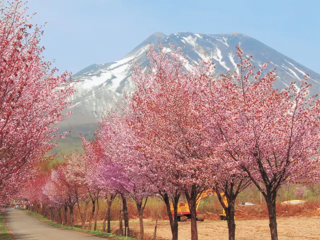 岩木山