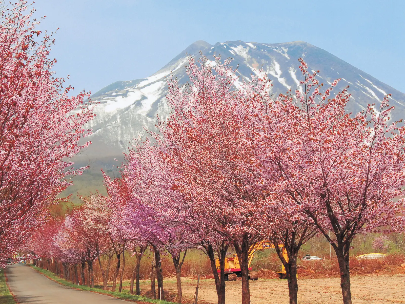 岩木山