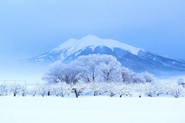 一面の雪景色の中にそびえ立つ