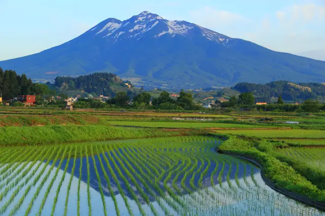田植え時期の田んぼに映る山も風情がある